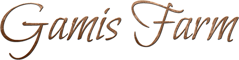 gamiscopper.png